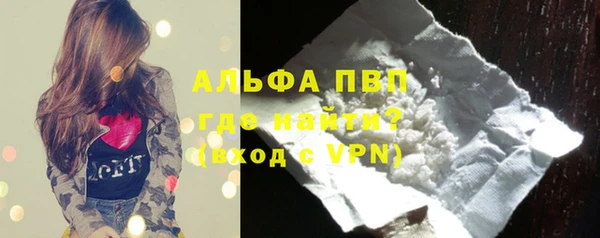 прущие грибы Беломорск