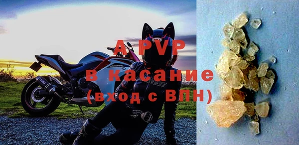 ПСИЛОЦИБИНОВЫЕ ГРИБЫ Балахна