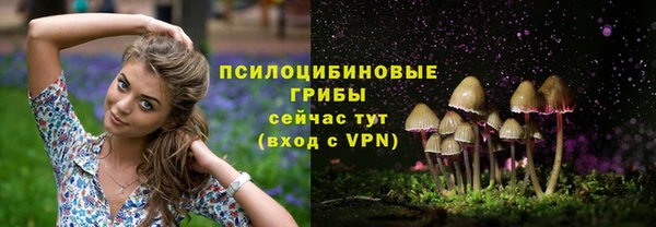ПСИЛОЦИБИНОВЫЕ ГРИБЫ Балахна