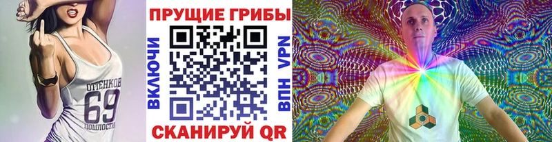 Псилоцибиновые грибы Psilocybine cubensis  OMG маркетплейс  Лахденпохья 