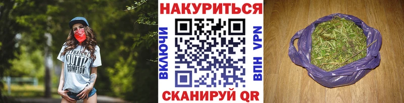 Конопля гибрид  Лахденпохья 